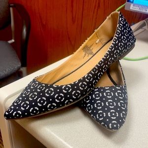 Pointed Toe Black and White Flats